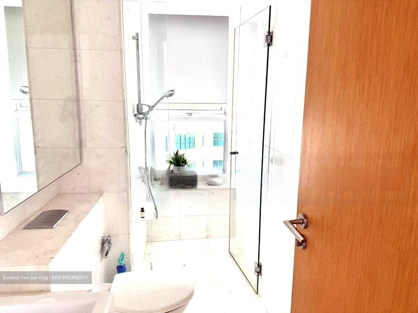 Tribeca (D9), Condominium #458806661